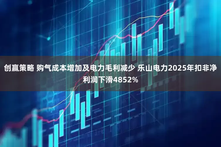 创赢策略 购气成本增加及电力毛利减少 乐山电力2025年扣非净利润下滑4852%