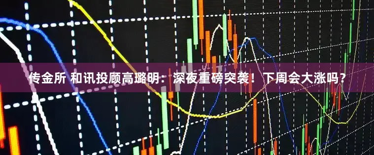 传金所 和讯投顾高璐明：深夜重磅突袭！下周会大涨吗？
